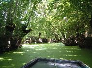 Marais Poitevin - La Venise Verte