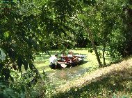 Marais Poitevin - La Venise Verte