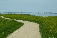 Pont de l'île de Ré - vue près L'Houmeau