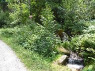 Weißer Main (à 700m de la source)