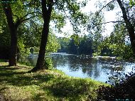 L'Ohře à Černýš (Perštejn)