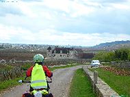 Château du Clos Vougeot