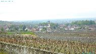 Volnay