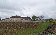 Château de Chassagne-Montrachet