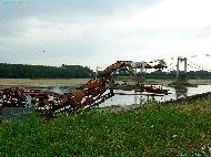 Le crocodile de Montjean-sur-Loire