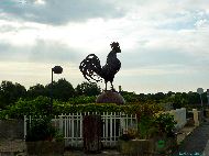 Le coq de Montjean-sur-Loire