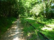 Voie Verte "Laval - Ambrières-les-Vallées" - près Saint-Loup-du-Gast