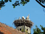 Petronell Carnuntum