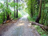 près Strížovice - 'Přírodní park Česká Kanada' - Il y a eu de l'orage cette nuit !