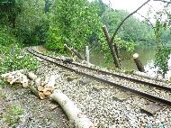 près Strížovice - 'Přírodní park Česká Kanada' - Il y a eu de l'orage cette nuit !