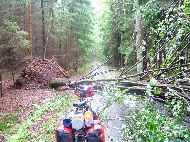 près Strížovice - 'Přírodní park Česká Kanada' - Il y a eu de l'orage cette nuit !
