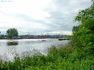 Labe (Elbe) - près Vliněves