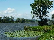 Křešice - Elbe