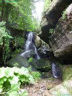 Bad Schandau - Lichtenhainer Wasserfall