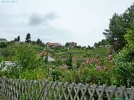 Vignobles de Meißen