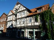 Dannenberg