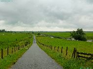 Freiburg/Elbe - Außendeich Nordkehdingen II