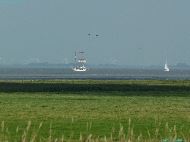 Elbe - Otterndorf