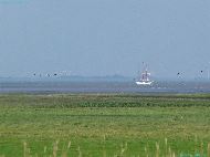 Elbe - Otterndorf