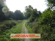 Canal du Midi : un pur scandale pour les cyclotouristes