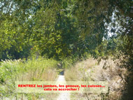 Canal du Midi : un pur scandale pour les cyclotouristes