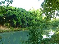 Canal de Garonne - Lagruère