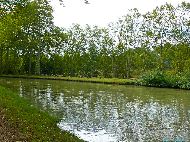 Canal du Midi - Abattage des platanes malades du chancre coloré
