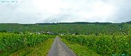 près Köwerich - Weingut !!!