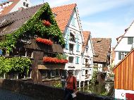 Ulm