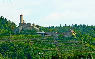 Neckarzimmern - Burg Hornberg