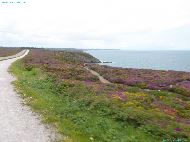 Cap Fréhel