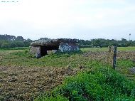 Pleumeur-Bodou - Dolmen de Kerguntuil