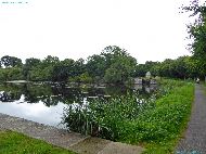 Canal de Nantes à Brest - Étangs du Roz
