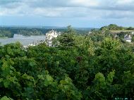 Saumur