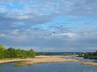 Les Rosiers-sur-Loire - Montgolfières sur la Loire depuis le Pont des Rosiers-sur-Loire