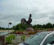 Montjean-sur-Loire - Le coq de Montjean sur Loire