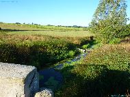 La Meuse en Ruisseau