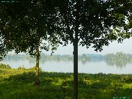 Asseltse Plassen