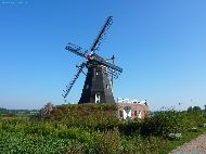 De Grauwe Beer (Molen)