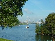 Hoogvliet