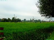 Molen De Drie Lelies