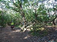 Oostkapelle - Natuurgebied Oranjezon