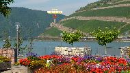 Bingen am Rhein - Ruine Burg Ehrenfels