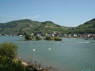 Assmannshausen