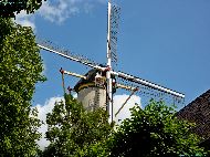 Buren - Molen De Prins van Oranje