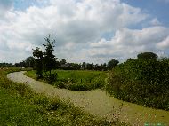 Buurmalsen