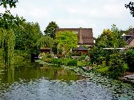 Leerdam - filet spad - Dimmerlaan - Loosdorp
