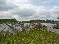 Vogelkijkhut Polder Maltha