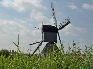 Museummolen Blokweer