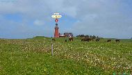 Ferring &mdash; ⑴ Bovbjerg Fyr